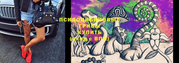 не бодяженный Абаза
