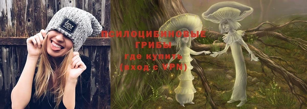 крисы Абдулино