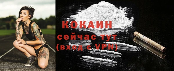 ECSTASY Кинешма