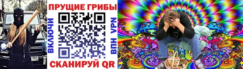 Псилоцибиновые грибы MAGIC MUSHROOMS  Удомля 